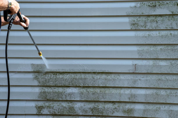 Best Hoarding Cleanup  in Scott City, MO